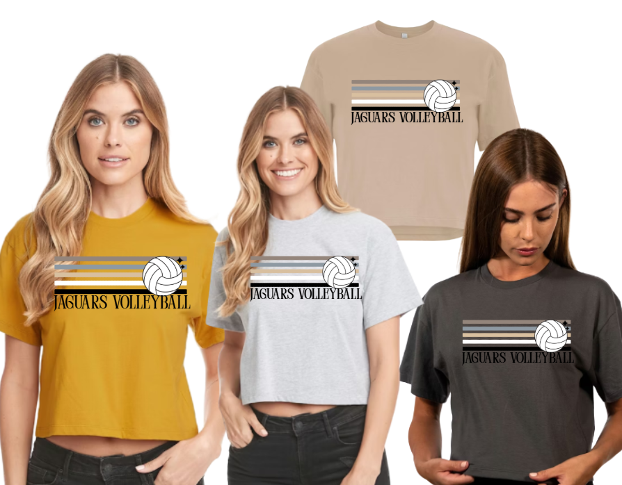 Retro Natural Stripe Volleyball - Cropped Tshirt TJ