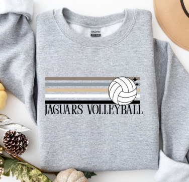Retro Natural Stripe Volleyball   - Crewneck TJ