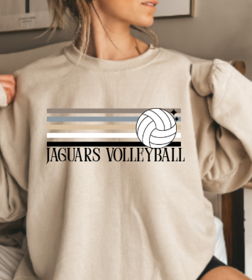 Retro Natural Stripe Volleyball   - Crewneck TJ