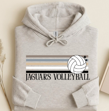 Retro Natural Stripe Volleyball    - Hoodie TJ
