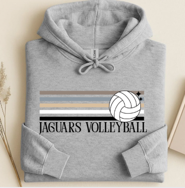 Retro Natural Stripe Volleyball    - Hoodie TJ