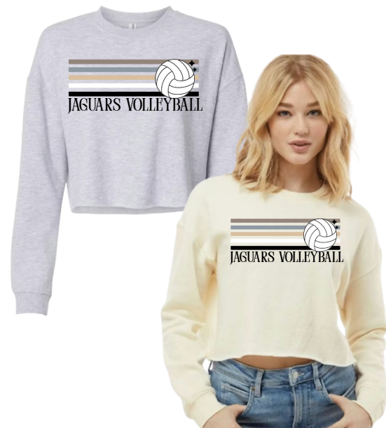 Retro Natural Stripe Volleyball   - Cropped Crew TJ