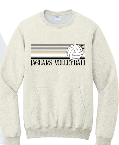 Retro Natural Stripe Volleyball  - Pocket Crewneck TJ