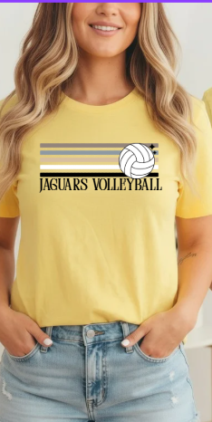 Retro Natural Stripe Volleyball   - Tshirt TJ